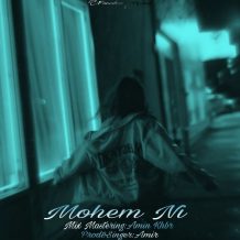 دانلود آهنگ جدید امیر به نام مهم نی